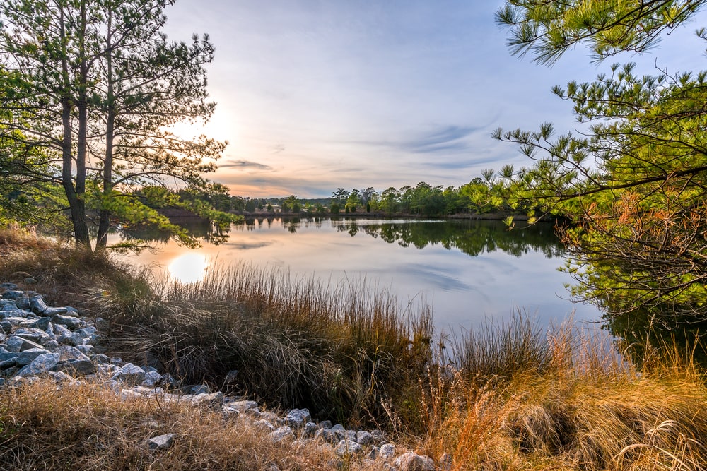 looking at a lake near Mount Trashmore