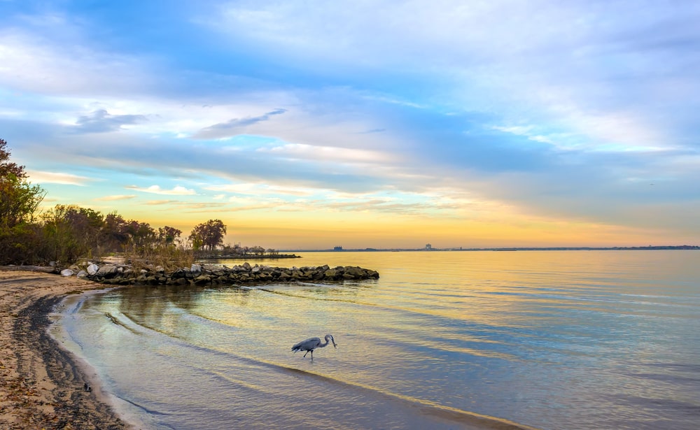 Chesapeake Bay Waters