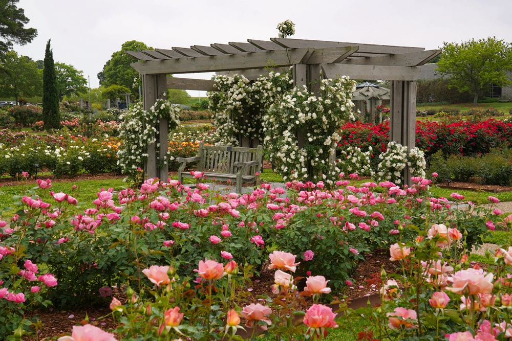 Norfolk Botanical Garden